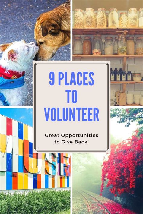 Place to volunteer near me. Things To Know About Place to volunteer near me. 
